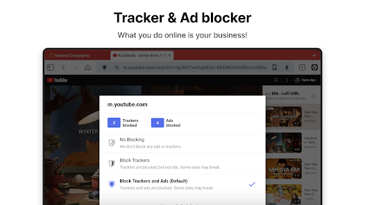 Screenshot image